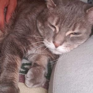 Meet your Posher, Miriam